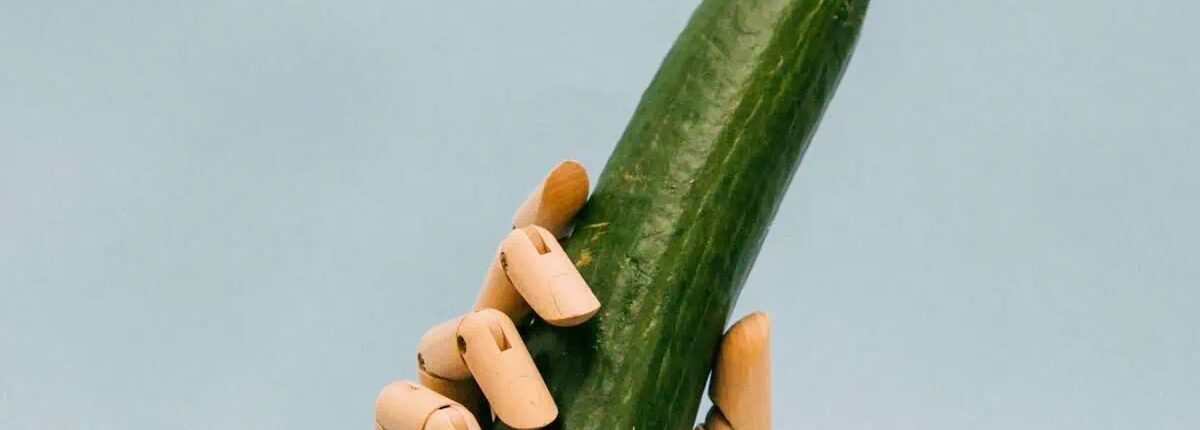 Pepino que lembra o ato de tipos de pênis