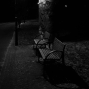 Parque de noite, lugar para dogging