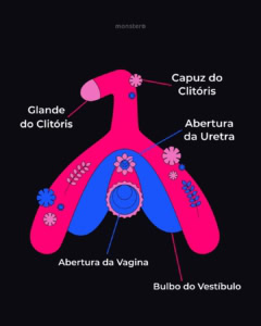 Onde fica o clitóris? Veja como identificar e estimular - Monster D