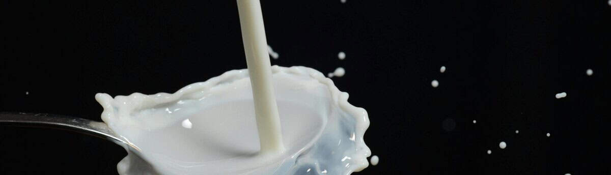 leite simulando o homem sente quando solta o líquido